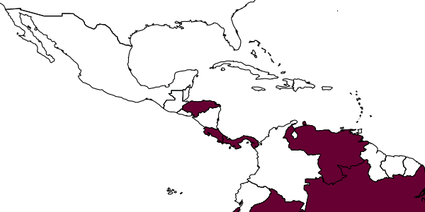 map of Crovettia barbara     Olmi, 1984